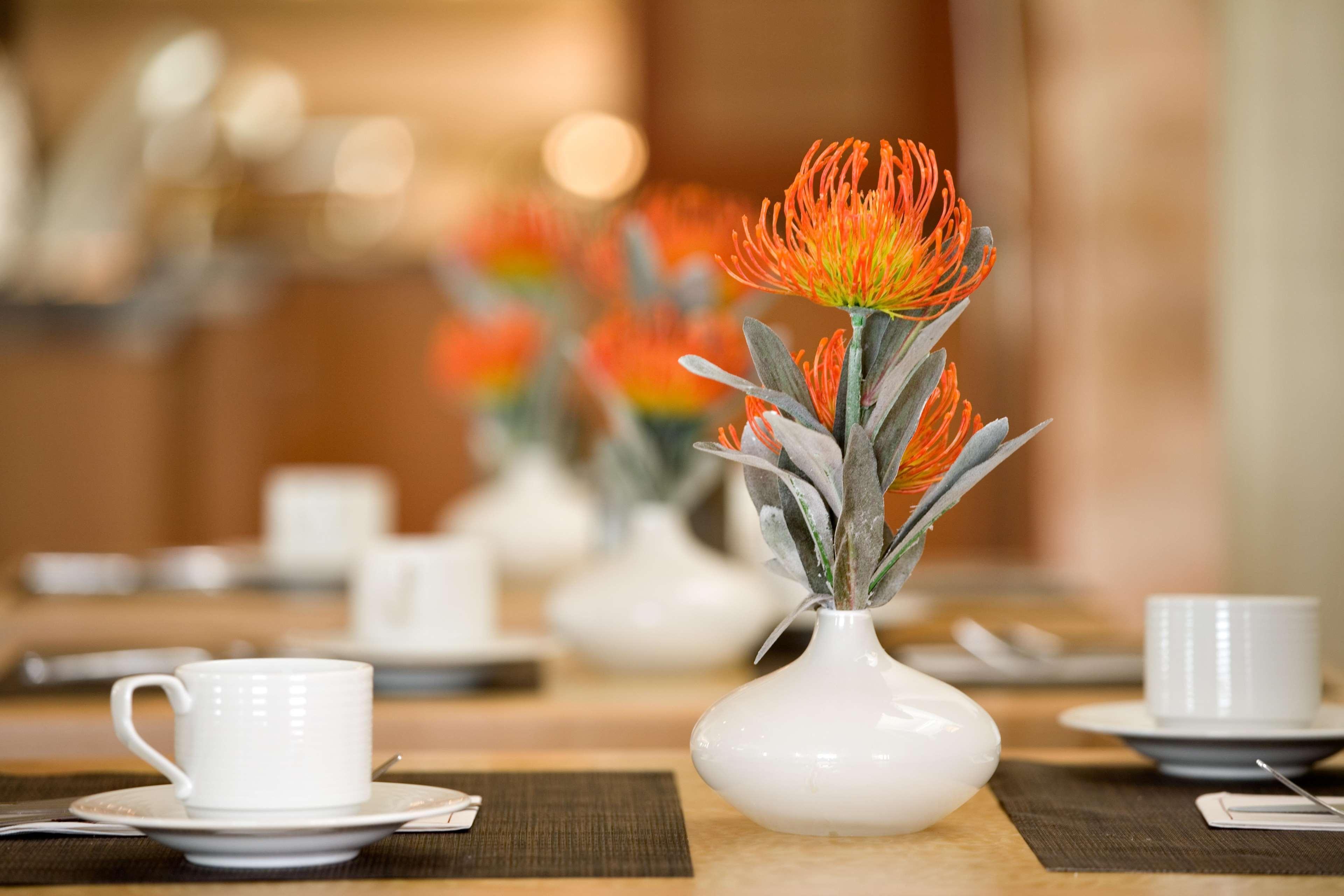 Hilton Garden Inn Dallas ריצרדסון מראה חיצוני תמונה