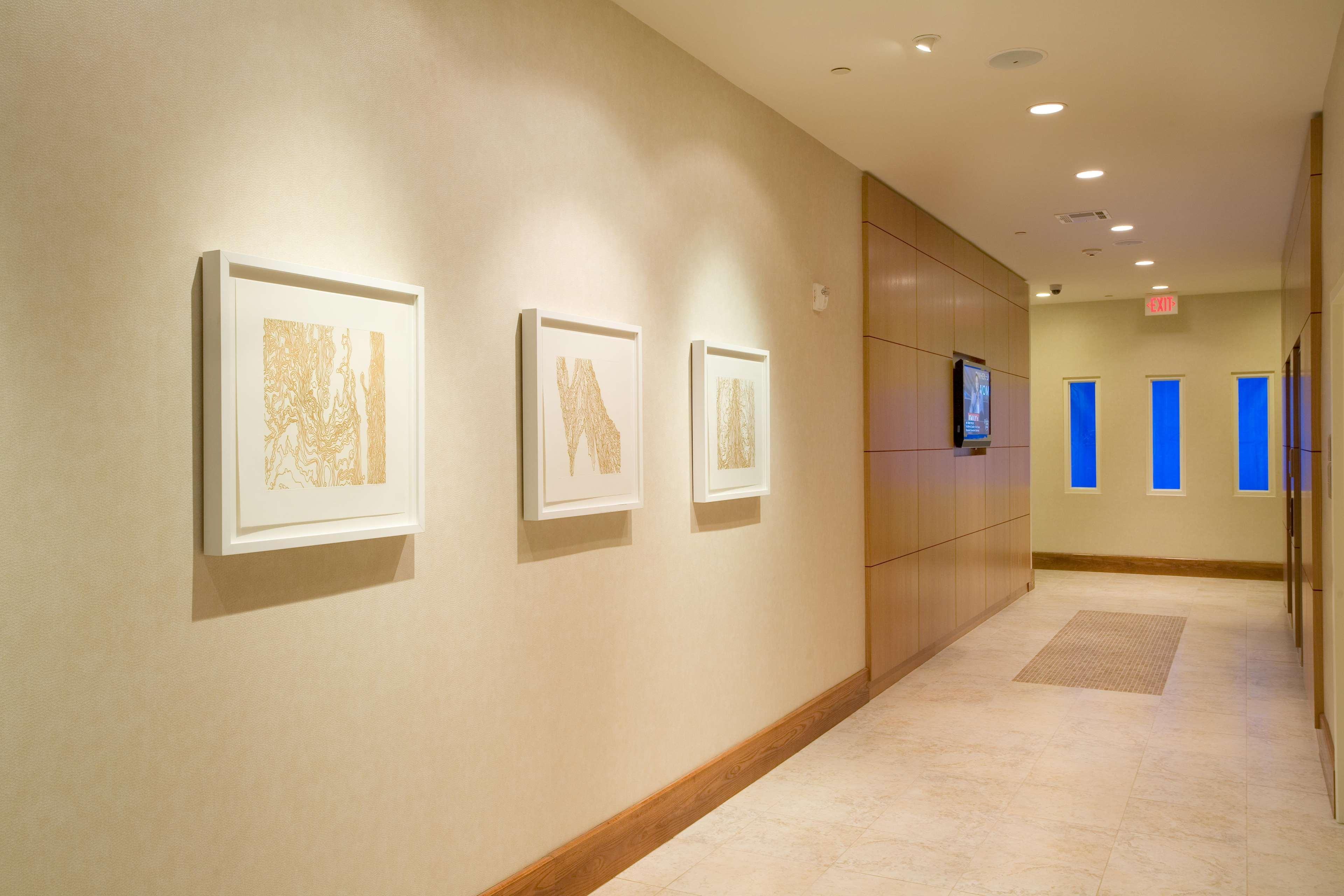 Hilton Garden Inn Dallas ריצרדסון מראה חיצוני תמונה